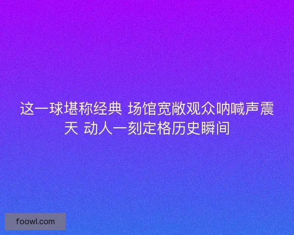 这一球堪称经典 场馆宽敞观众呐喊声震天 动人一刻定格历史瞬间