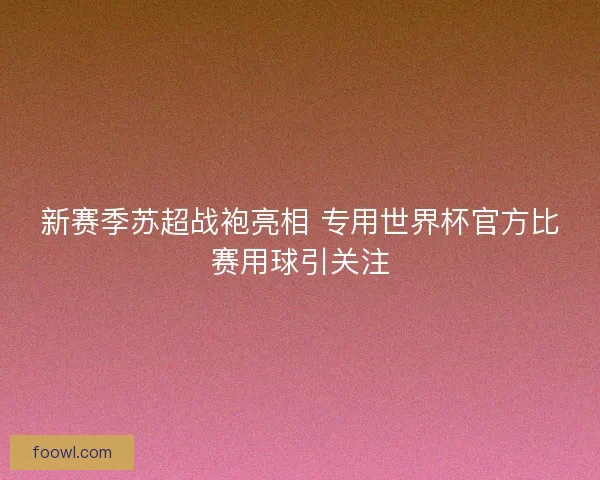 新赛季苏超战袍亮相 专用世界杯官方比赛用球引关注
