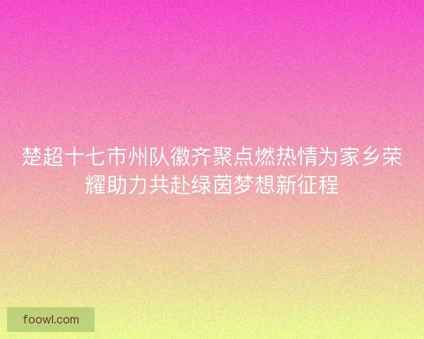楚超十七市州队徽齐聚点燃热情为家乡荣耀助力共赴绿茵梦想新征程