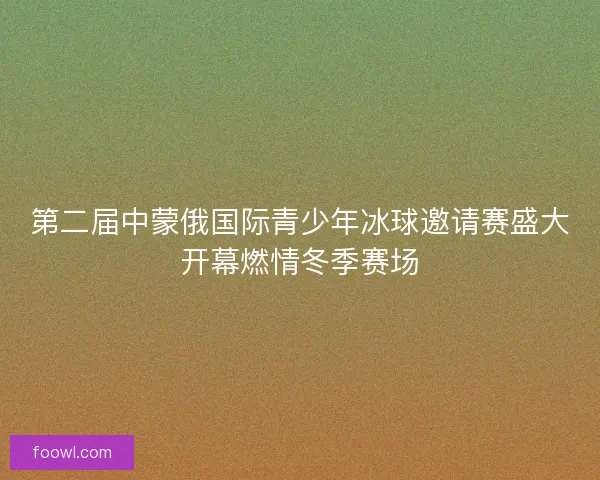 第二届中蒙俄国际青少年冰球邀请赛盛大开幕燃情冬季赛场