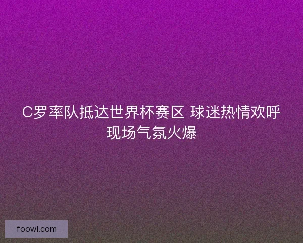 C罗率队抵达世界杯赛区 球迷热情欢呼现场气氛火爆